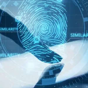 Web +Segura E-commerce