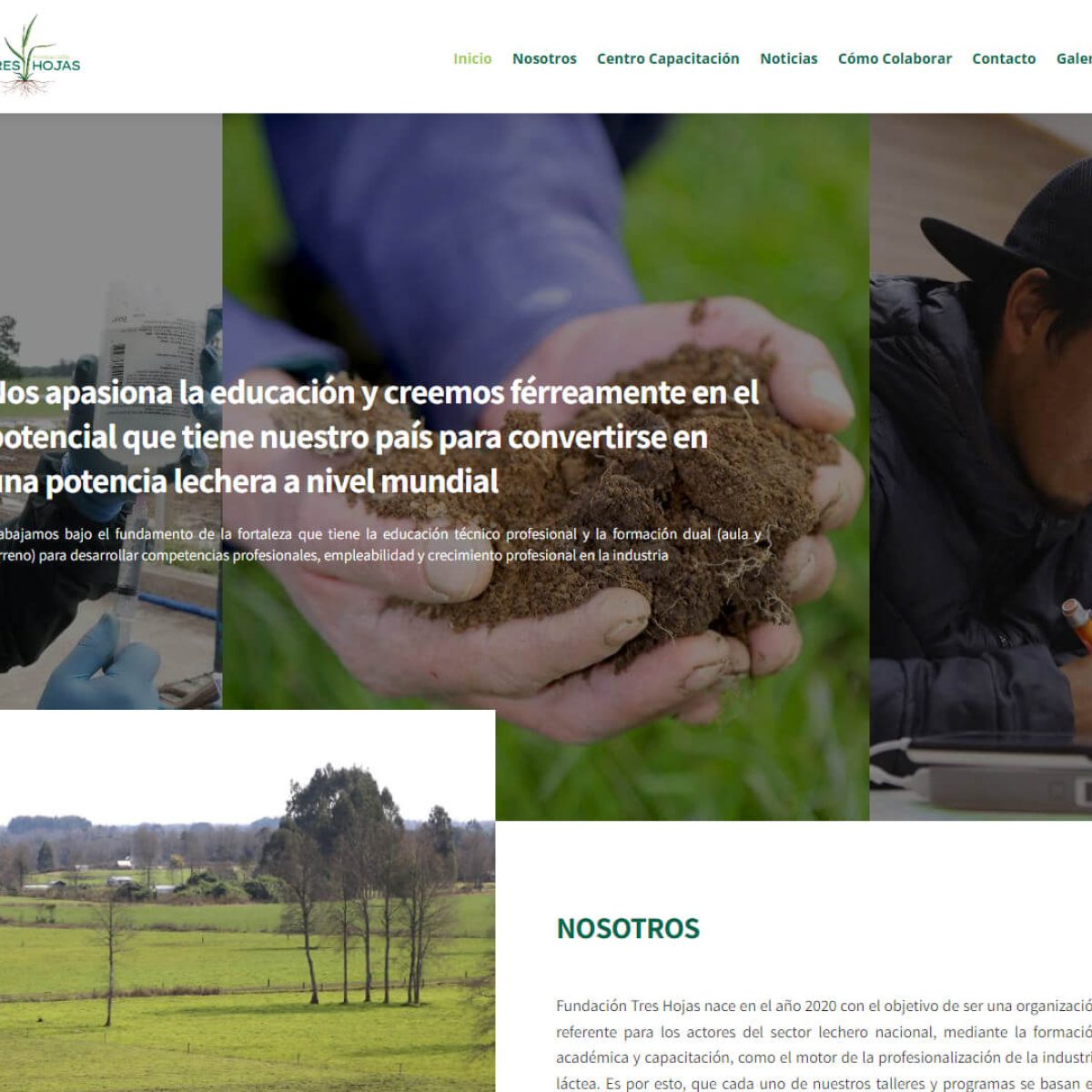 Fundacion_Tres_Hojas_01