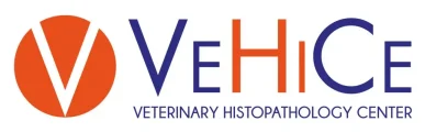 Logo Vehice 1024x317 1